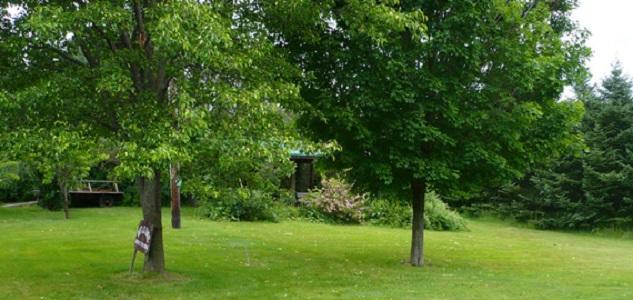 The South Glenora Tree Farm Bed & Breakfast Dundee Exterior photo